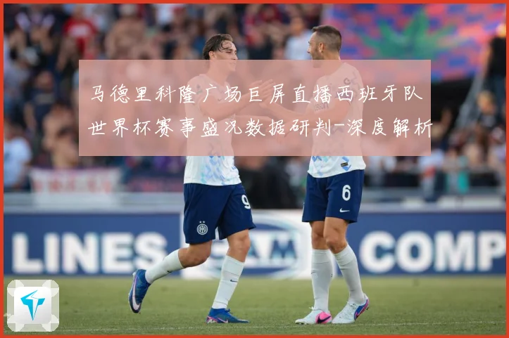 马德里科隆广场巨屏直播西班牙队世界杯赛事盛况数据研判-深度解析