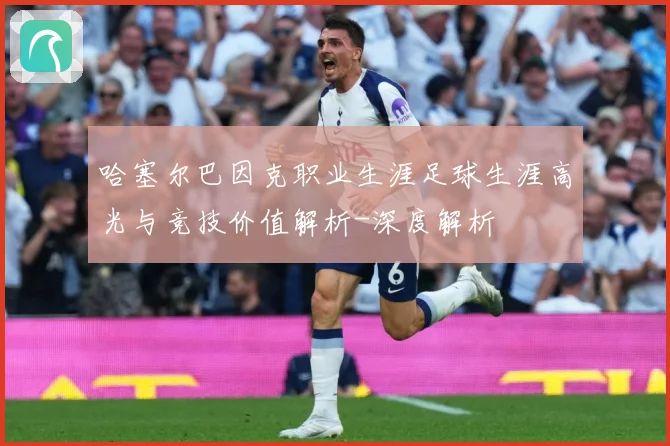 哈塞尔巴因克职业生涯足球生涯高光与竞技价值解析-深度解析